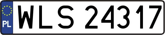 WLS24317