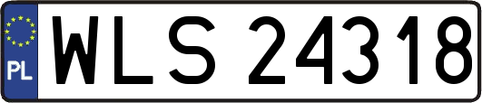 WLS24318
