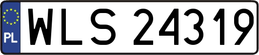 WLS24319