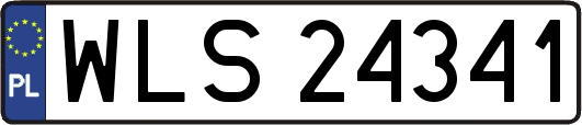 WLS24341