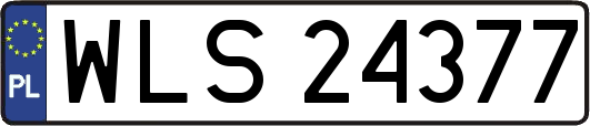 WLS24377