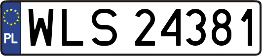 WLS24381