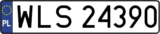 WLS24390