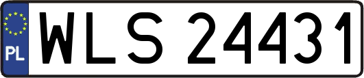 WLS24431