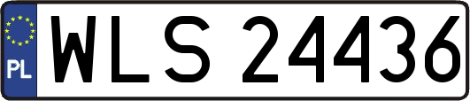 WLS24436