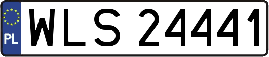 WLS24441