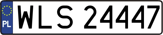 WLS24447