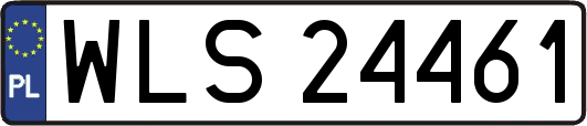 WLS24461