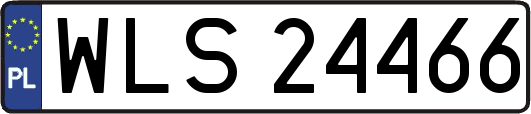 WLS24466