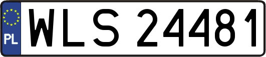 WLS24481