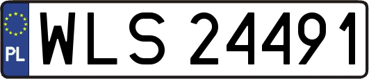 WLS24491