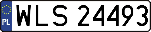 WLS24493