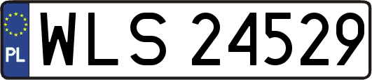 WLS24529