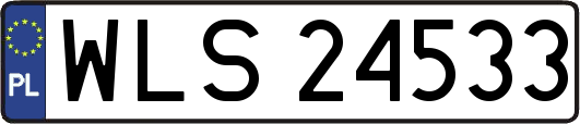 WLS24533