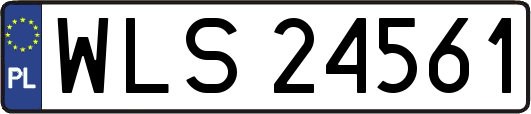 WLS24561