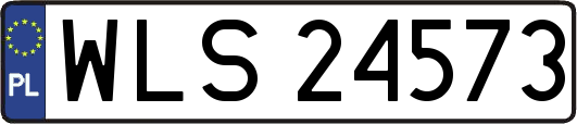 WLS24573