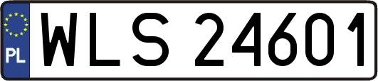 WLS24601