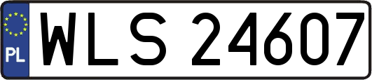 WLS24607