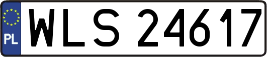 WLS24617