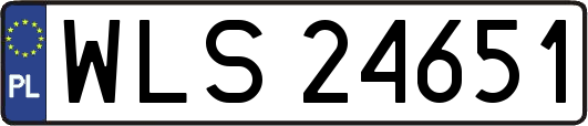 WLS24651