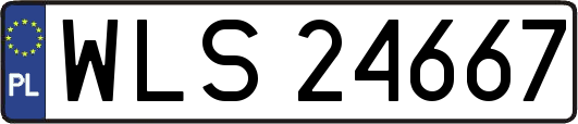 WLS24667