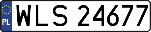 WLS24677