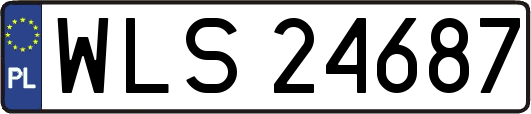 WLS24687