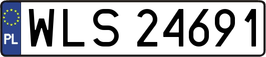 WLS24691
