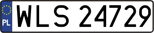 WLS24729