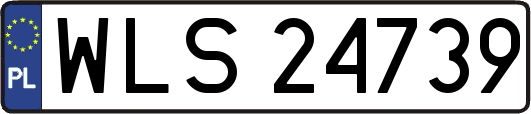 WLS24739