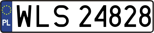 WLS24828