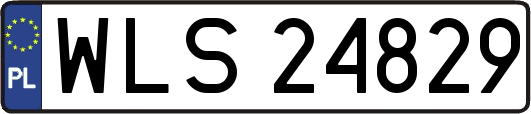 WLS24829