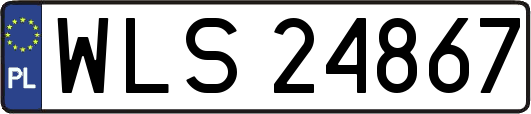 WLS24867