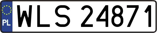 WLS24871