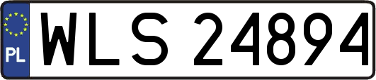 WLS24894
