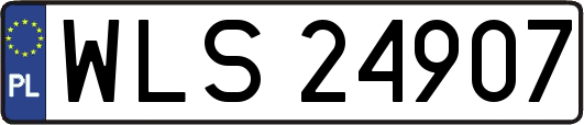 WLS24907