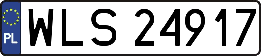 WLS24917