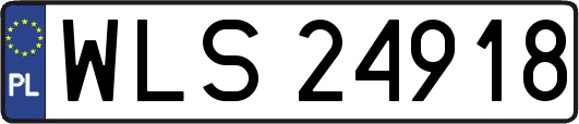 WLS24918