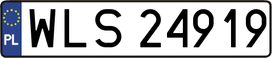 WLS24919