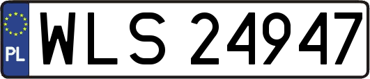 WLS24947