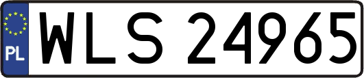 WLS24965