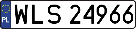 WLS24966