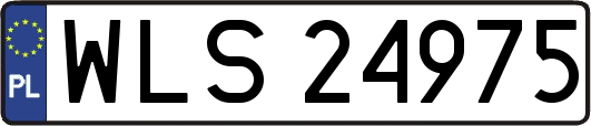 WLS24975