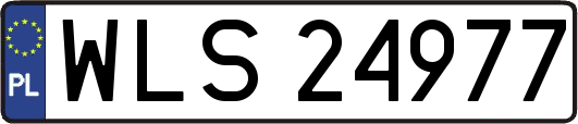 WLS24977
