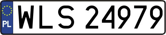 WLS24979