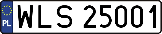 WLS25001