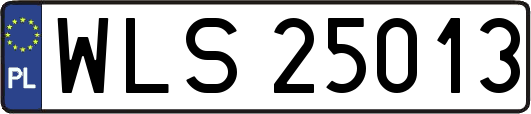 WLS25013
