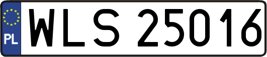 WLS25016