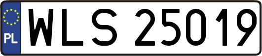 WLS25019