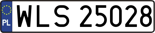 WLS25028